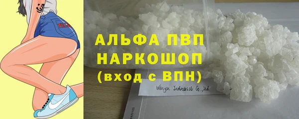 сатива Алзамай
