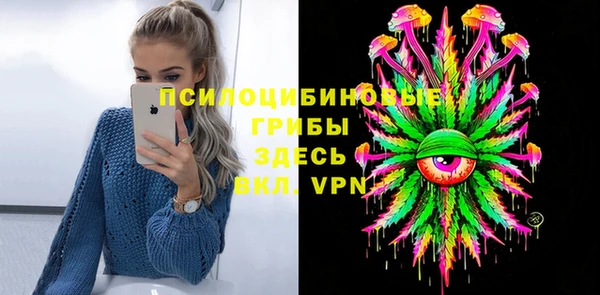 сатива Алзамай