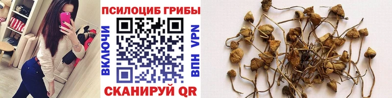 Псилоцибиновые грибы мухоморы Раменское