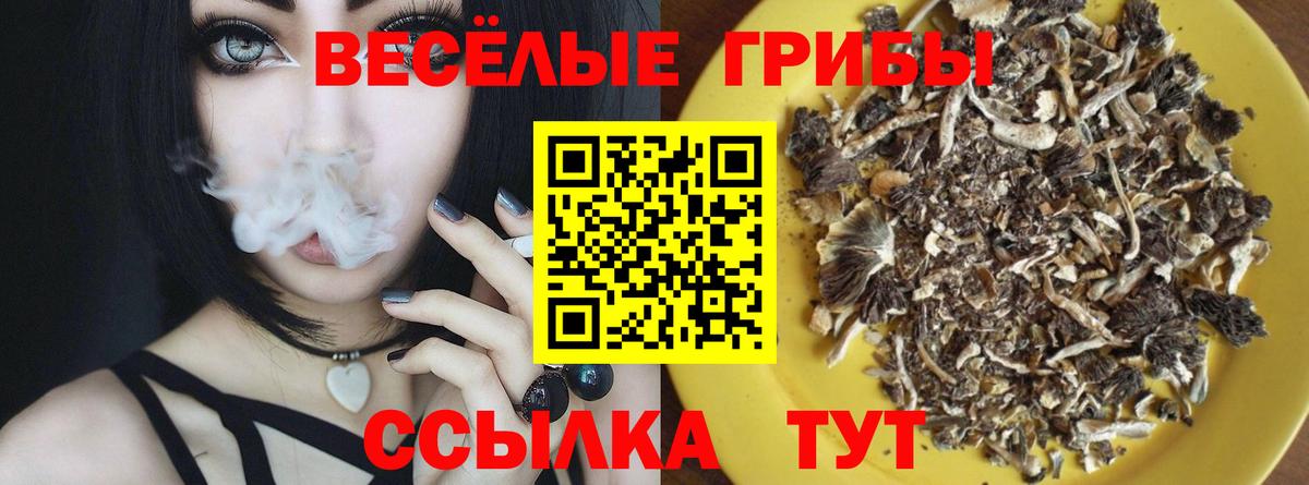 Галлюциногенные грибы прущие грибы  купить наркотик  Раменское  Вход с VPN 